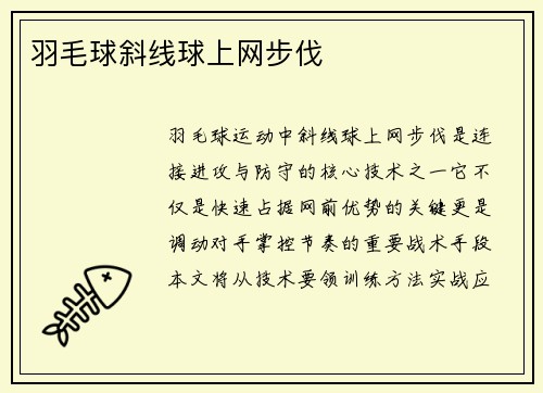 羽毛球斜线球上网步伐